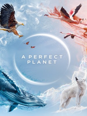 Xem phim A Perfect Planet