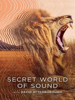 Xem phim Secret World of Sound with David Attenborough